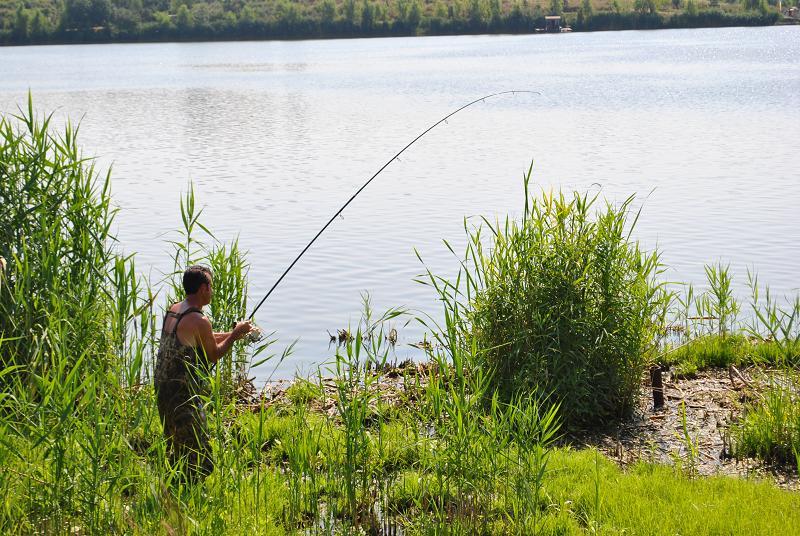 Secretele lui Frank Warwick